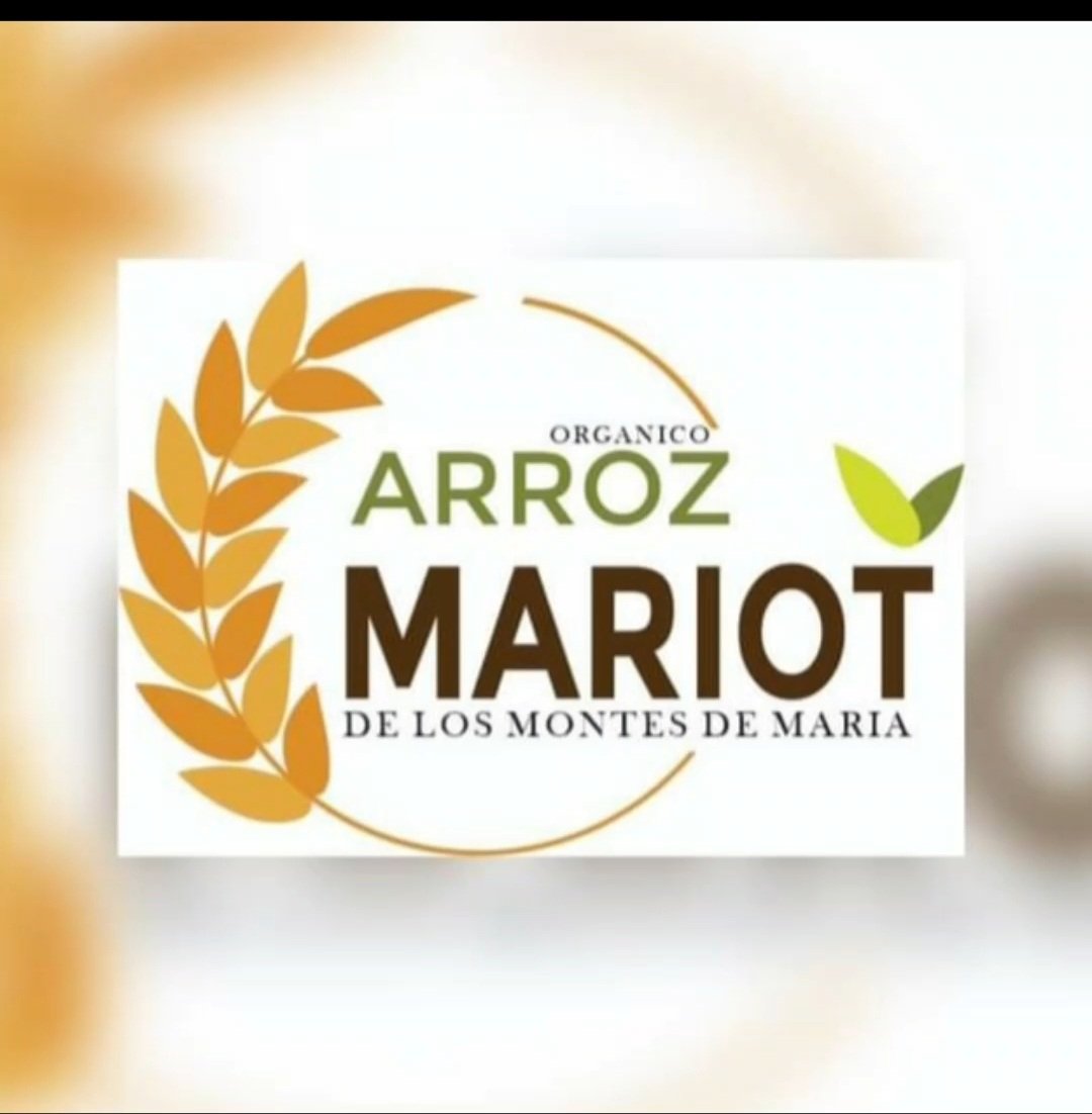 Arroz mariot