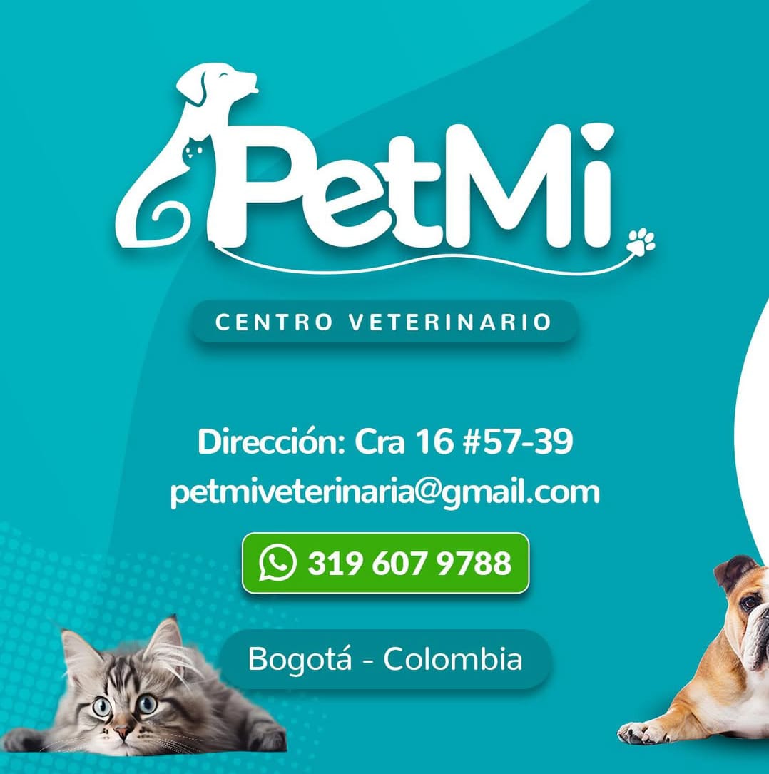 Petmi veterinaria